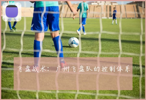 飞盘战术：广州飞盘队的控制体系
