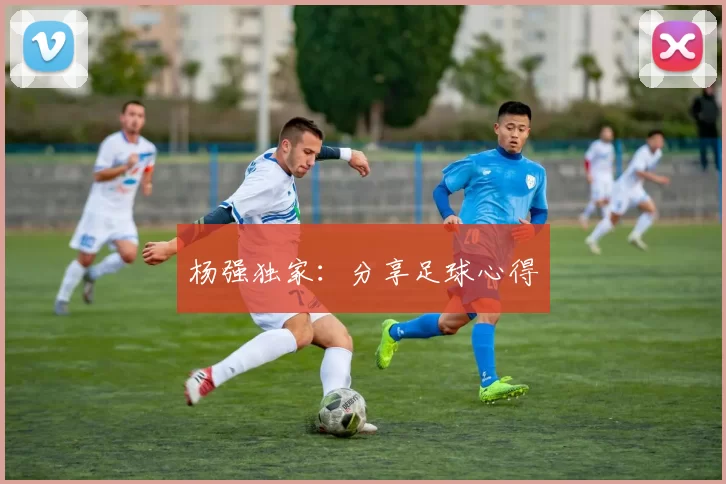 杨强独家：分享足球心得