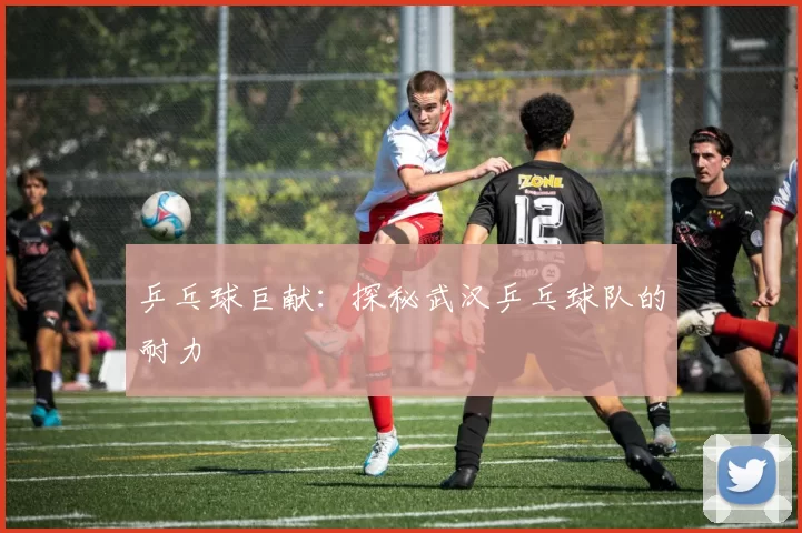 乒乓球巨献：探秘武汉乒乓球队的耐力
